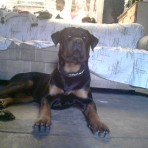 Tyson